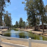 Review photo of Thousand Trails Wilderness Lakes RV Resort by Time4Dirt , June 7, 2022