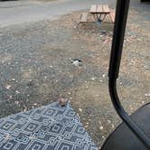 Review photo of Thousand Trails Wilderness Lakes RV Resort by Time4Dirt , June 7, 2022