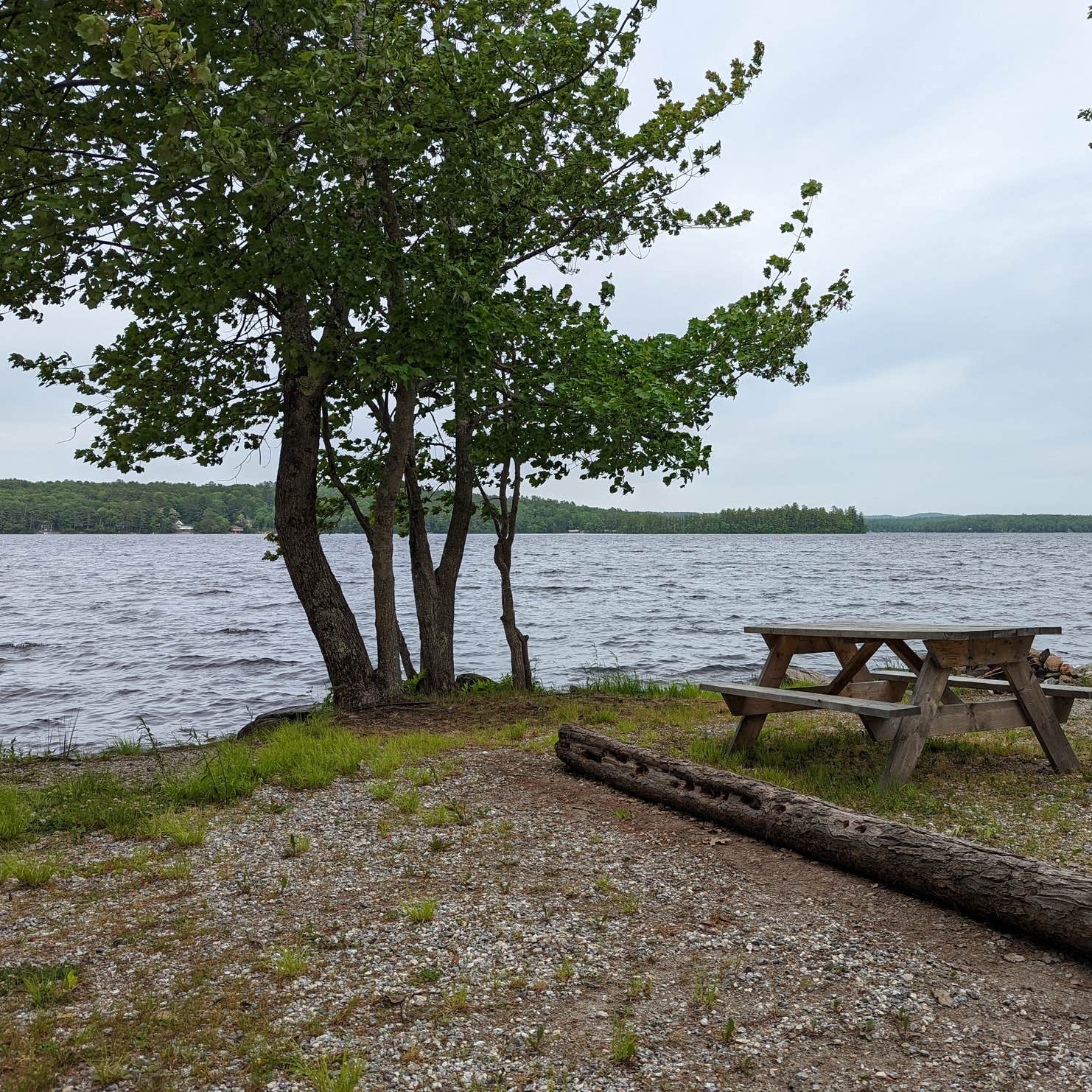 Lakeside Pines Campground | North Bridgton, Maine