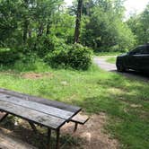 Review photo of Loft Mountain Campground — Shenandoah National Park by justin , June 8, 2022