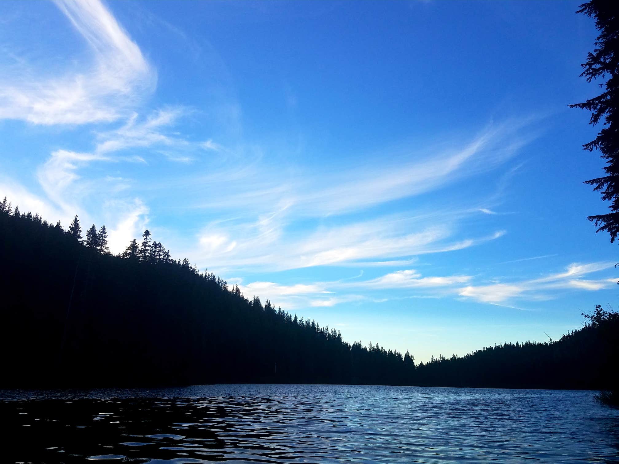 Merrill Lake Campground The Dyrt