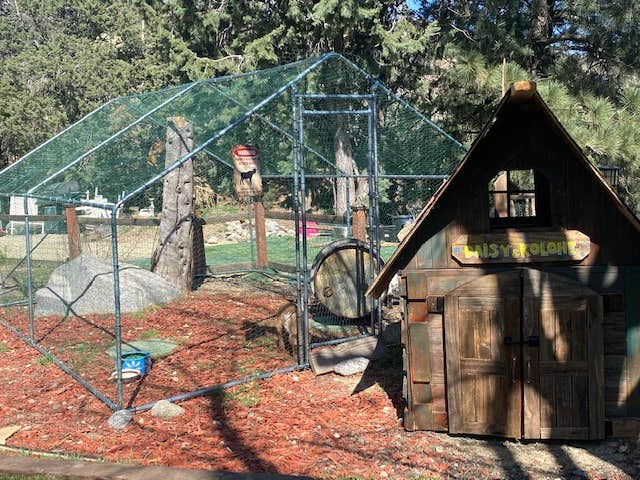 Closed Account Deactivated A.'s photo of glamping accommodations at closed / no longer in operation near Lancaster, CA
