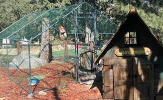 Closed Account Deactivated A.'s photo of glamping accommodations at closed / no longer in operation near San Dimas, CA