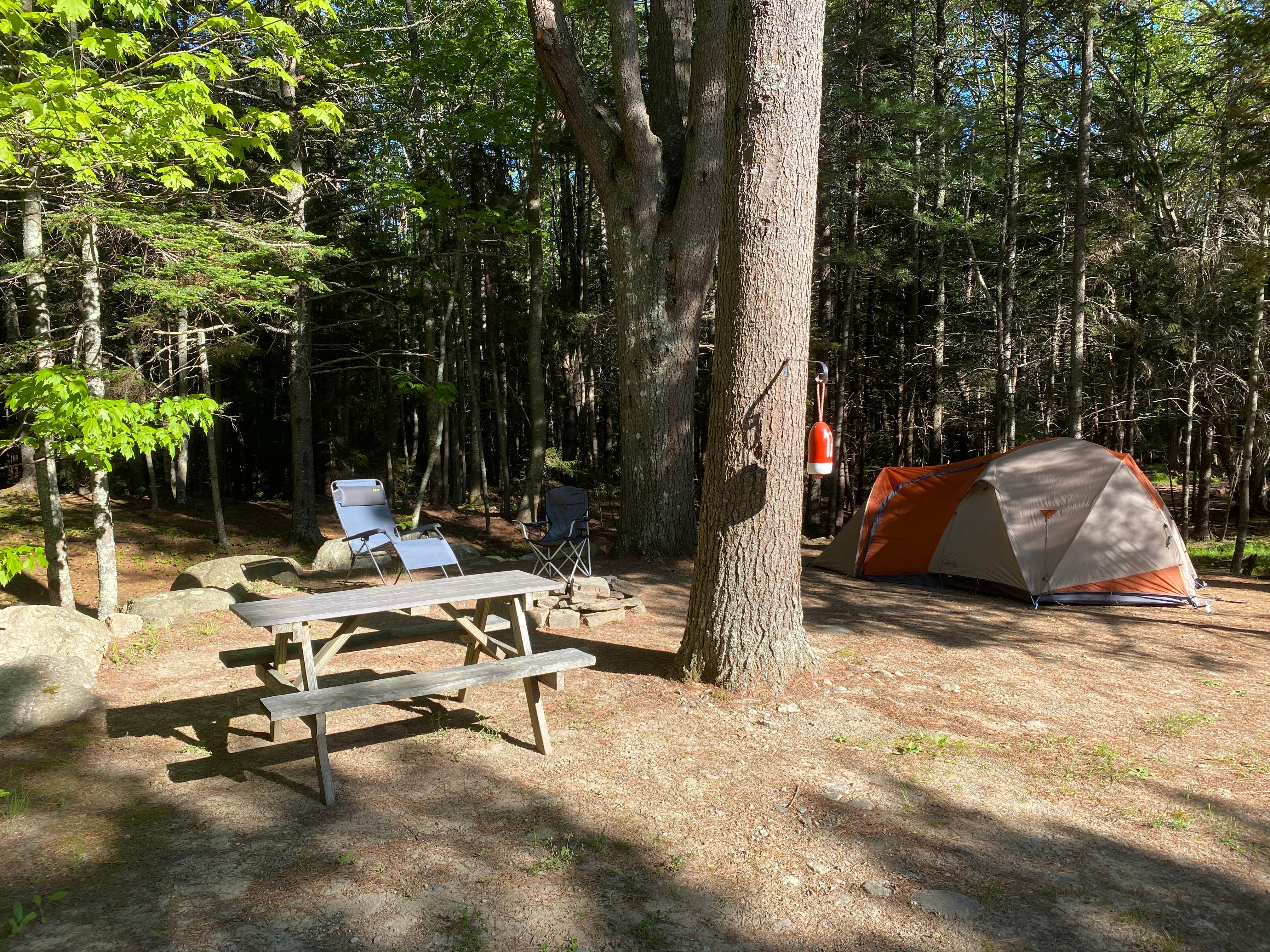 Camper submitted image from Pemaquid Point Campground - 4