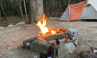 Camping near Duck Puddle Campground: Pemaquid Point Campground, South Bristol, Maine