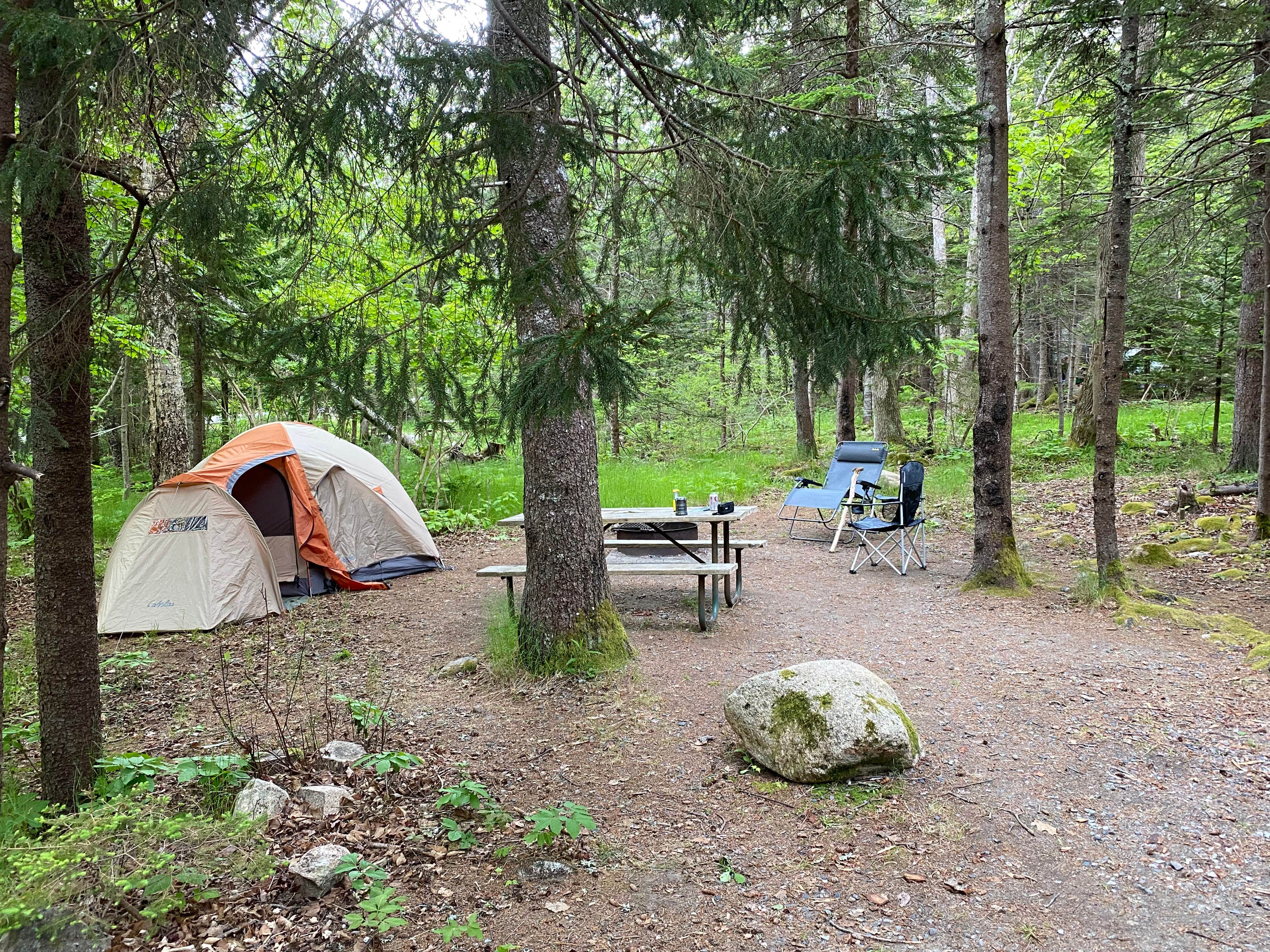 Kenneth K.'s photo at Blackwoods Campground — Acadia National Park near Cranberry Isles, ME