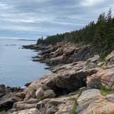 Review photo of Blackwoods Campground — Acadia National Park by Kenneth K., June 8, 2022