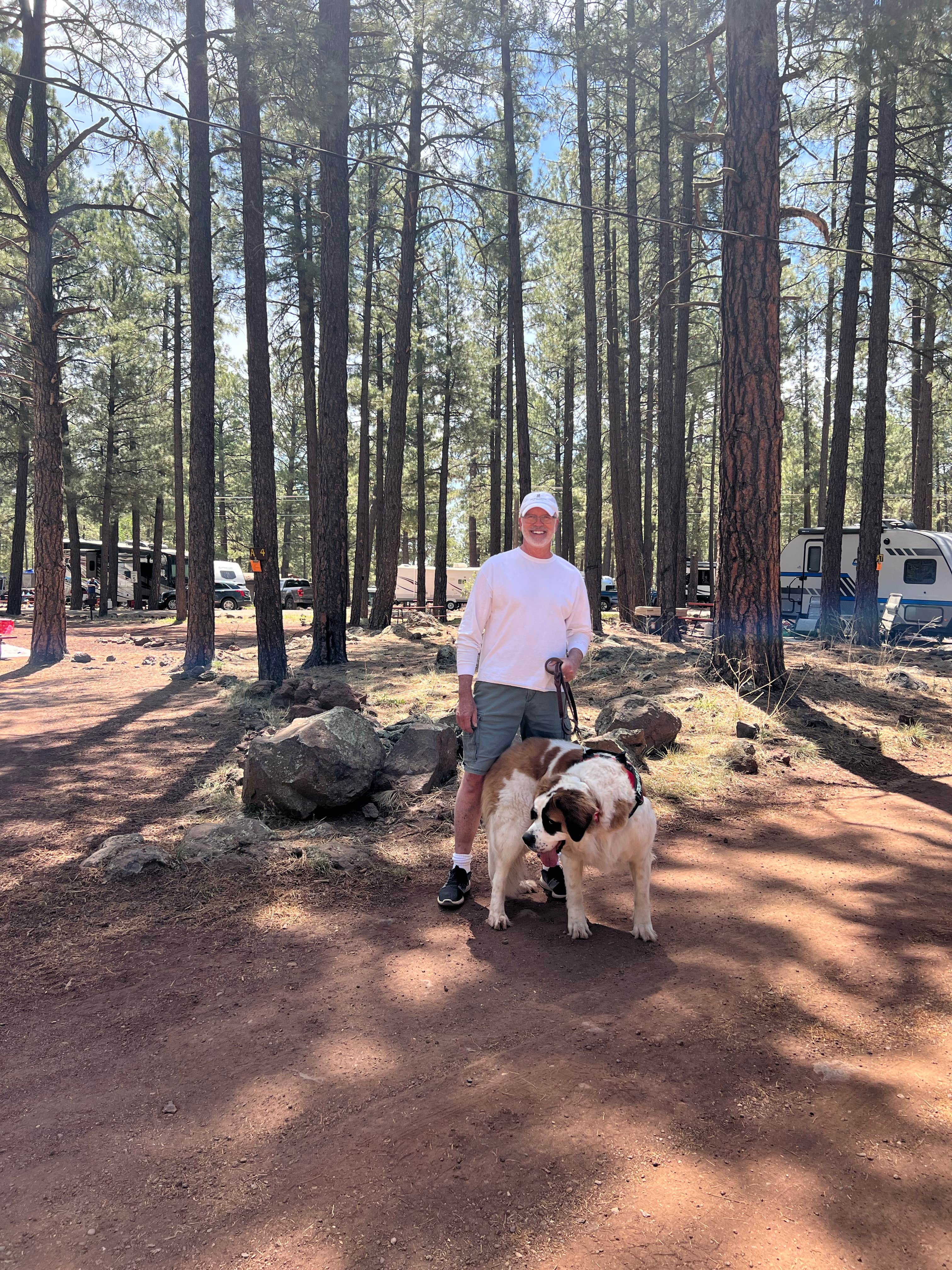 deb's photo at Woody Mountain Campground & RV Park near Flagstaff, AZ