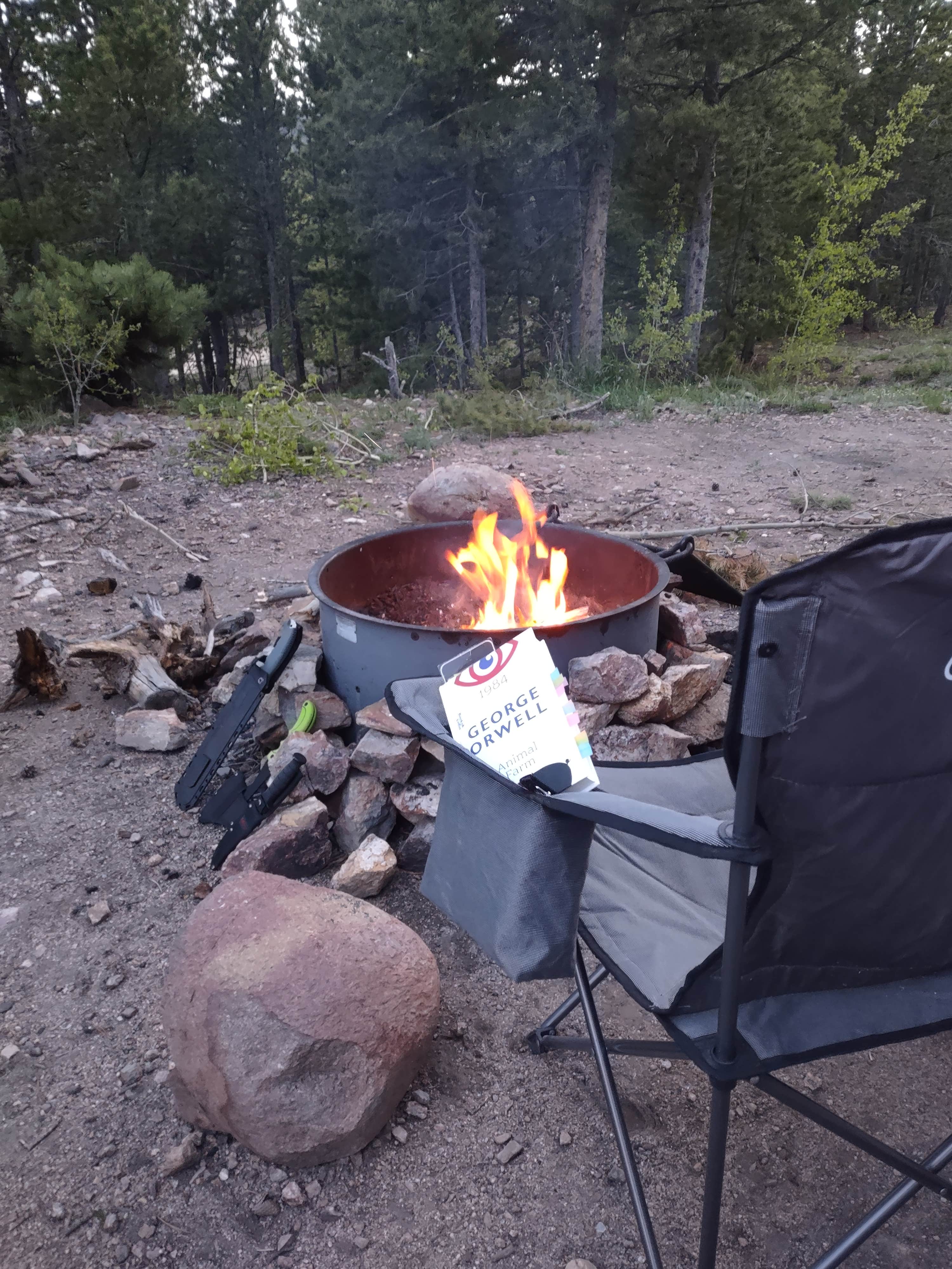 Camper-submitted photo at West Magnolia Campground near Black Hawk, CO