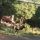 Review photo of Mather Campground — Grand Canyon National Park by Johnny S., June 8, 2022