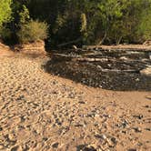 Review photo of Hurricane River Campground — Pictured Rocks National Lakeshore by Steve H., June 8, 2022