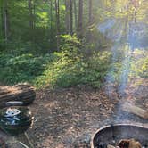 Review photo of Owens Creek Campground — Catoctin Mountain Park by Adam K., June 8, 2022