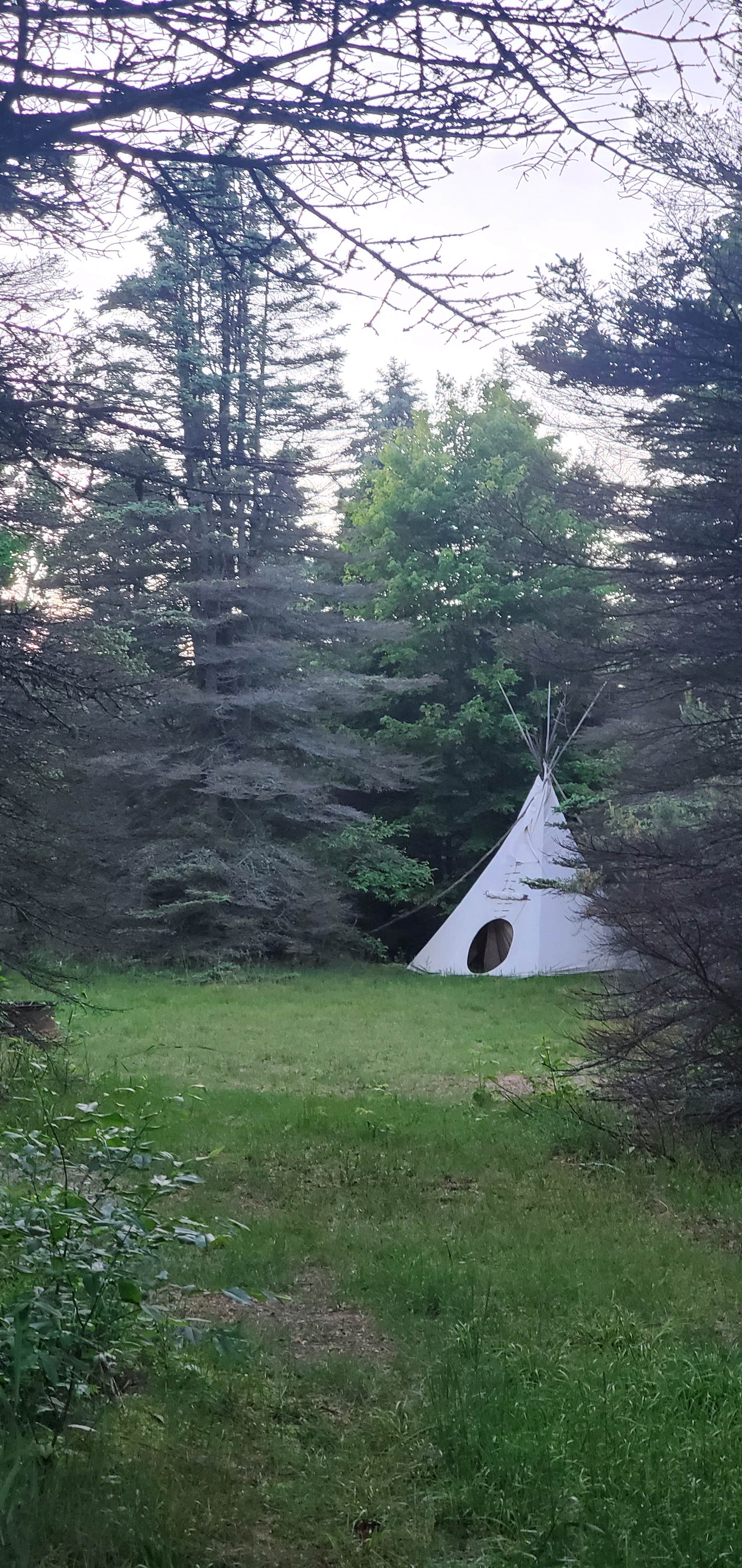 Camping near Vista Green RV Resort: Camp Stonewood Ranch, South Boardman, Michigan