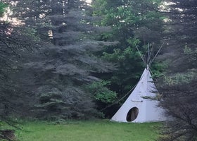 Camp Stonewood Ranch 
