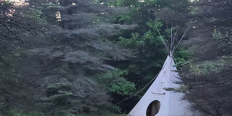 Camper submitted image from Camp Stonewood Ranch