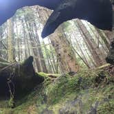 Review photo of Elk Prairie Campground — Prairie Creek Redwoods State Park by Ally S., July 26, 2016