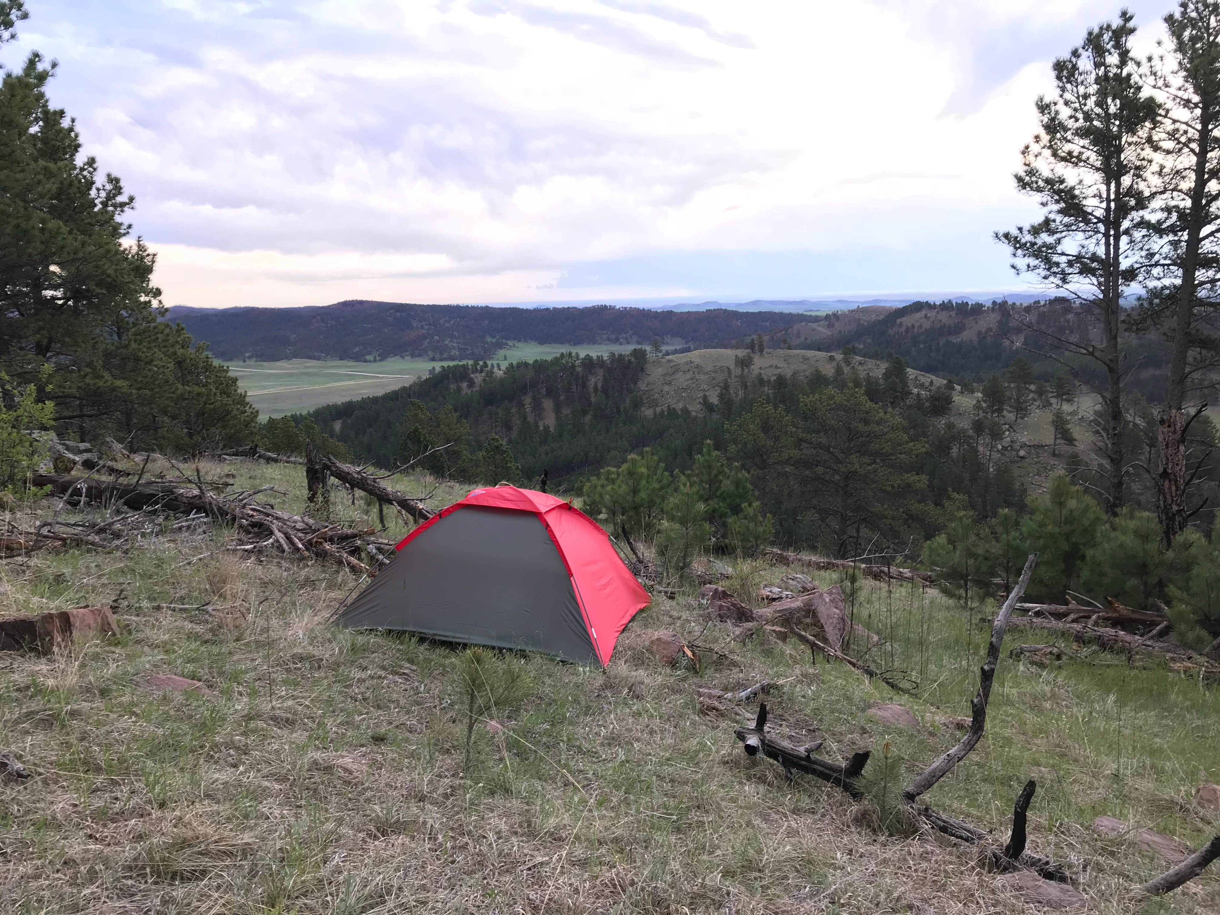 Kim N.'s photo at Elk Mountain Campground — Wind Cave National Park near Pringle, SD