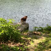 Review photo of Wolf Run State Park Campground by Jessica R., June 8, 2022