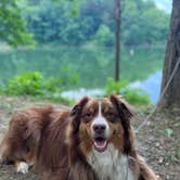 Review photo of Wolf Run State Park Campground by Jessica R., June 8, 2022