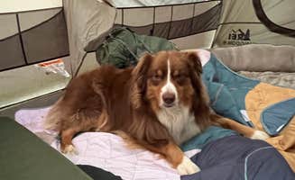 Jessica R.'s photo at Wolf Run State Park Campground near Woodsfield, OH