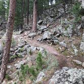 Review photo of Elk Mountain Campground — Wind Cave National Park by Kim N., July 15, 2018