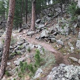 Review photo of Elk Mountain Campground — Wind Cave National Park by Kim N., July 15, 2018