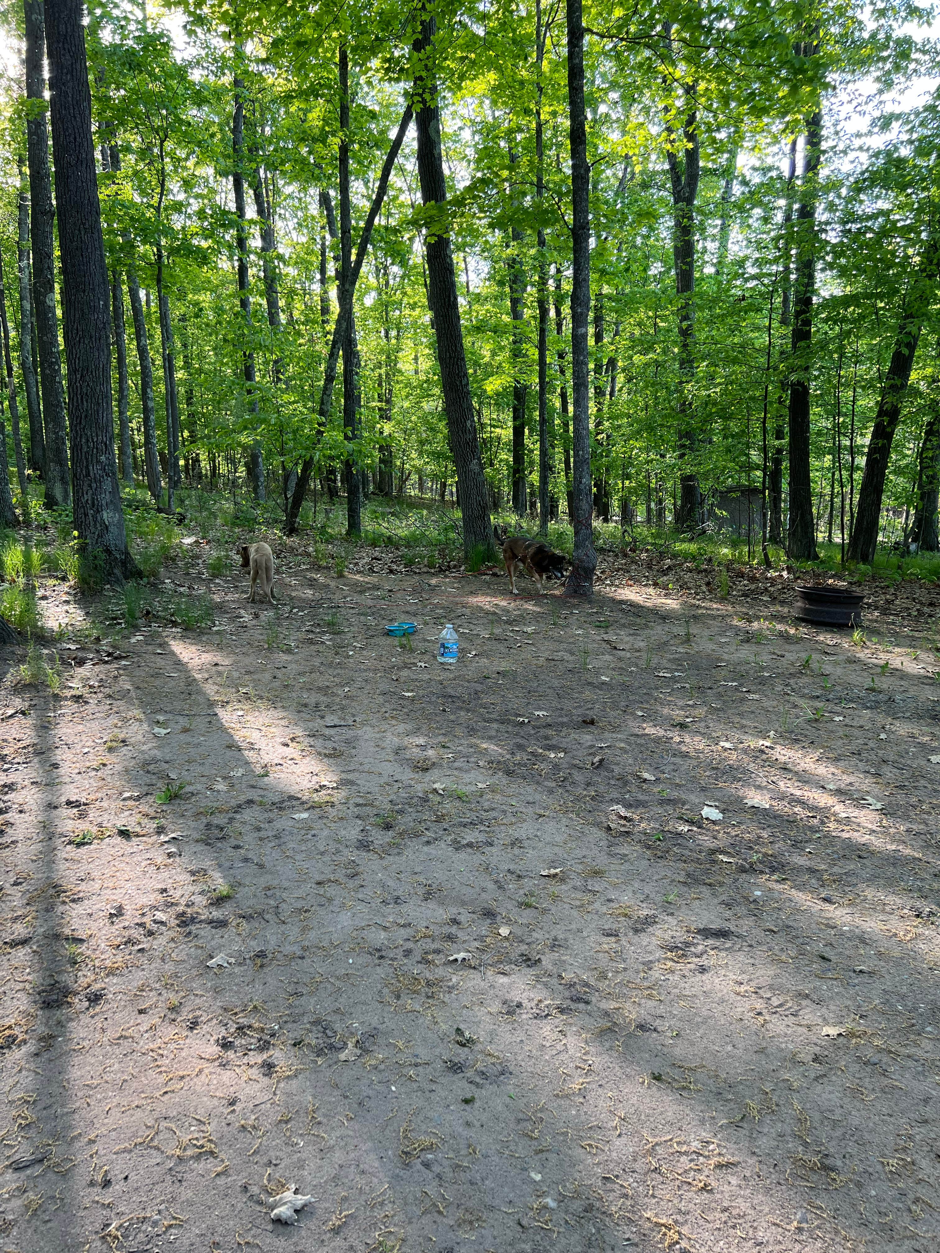 Camper submitted image from Delta Lake County Park - 3