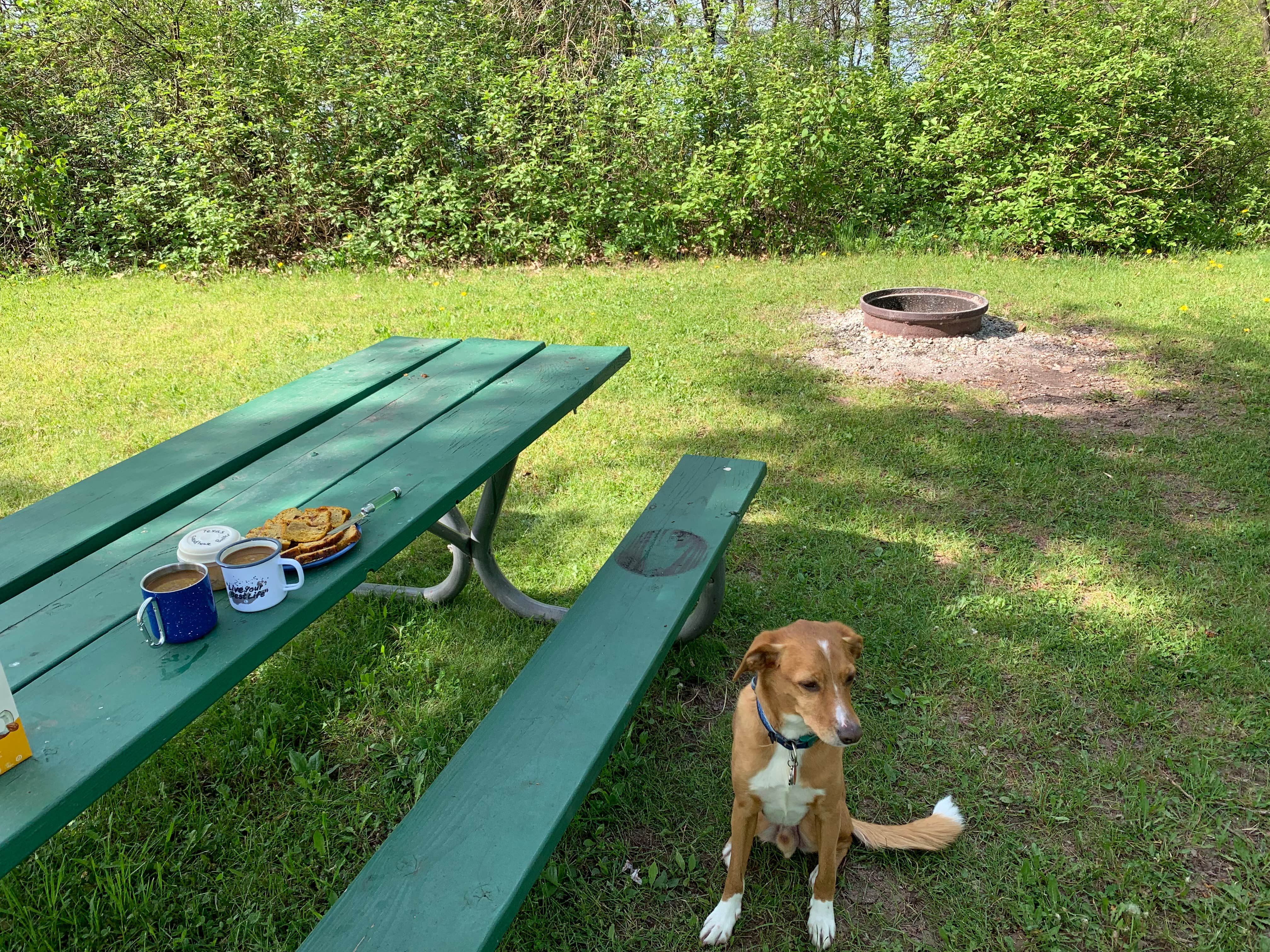 Michael K.'s photo of camping with pets at Indian Point City Campground near Duluth, MN