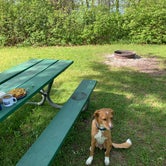 Review photo of Indian Point City Campground by Michael K., June 8, 2022