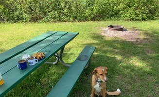 Michael K.'s photo of camping with pets at Indian Point City Campground near Superior, WI