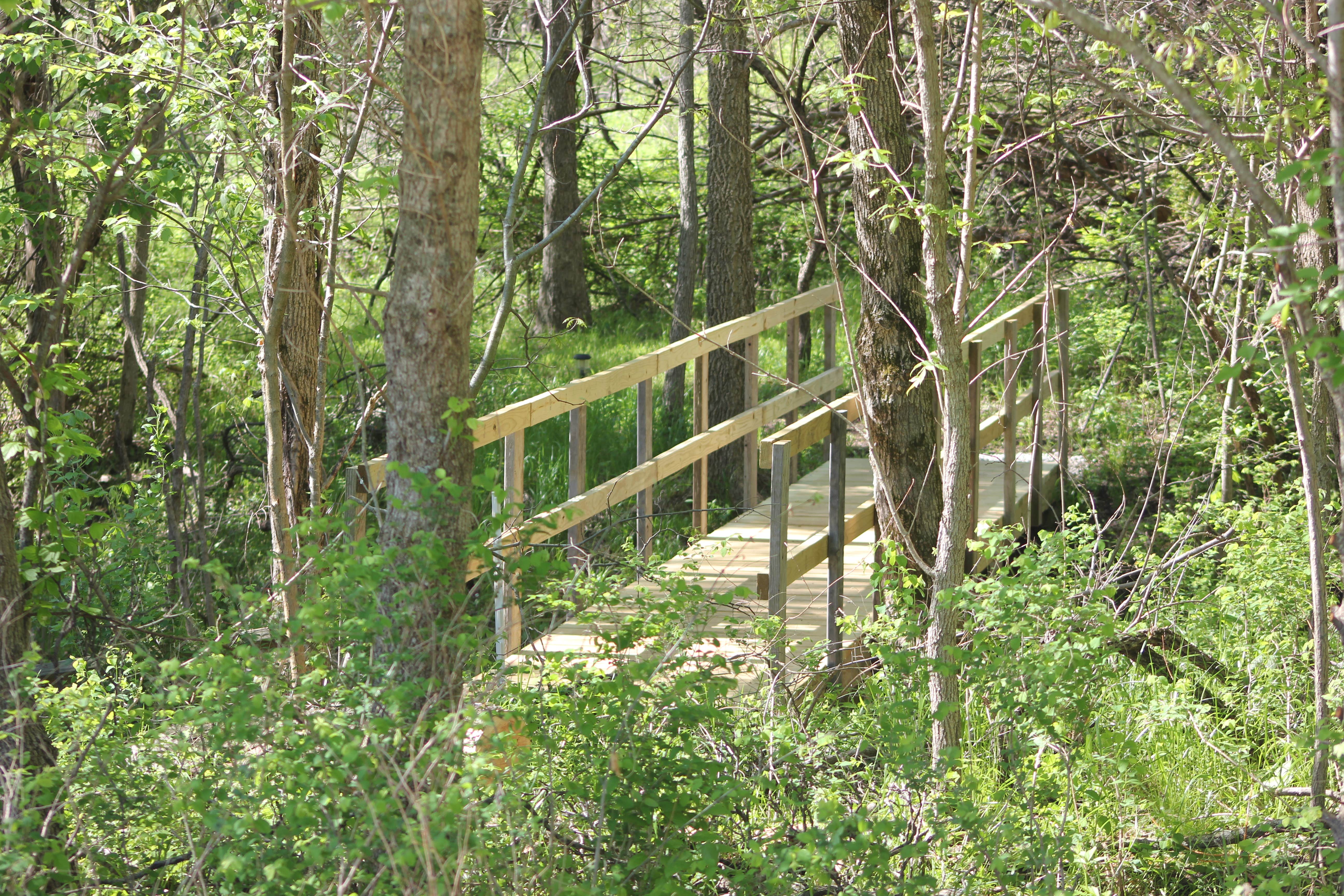 Camping near Peculiar Park Place: Fangthorn Forest Campground, Garden City, Missouri
