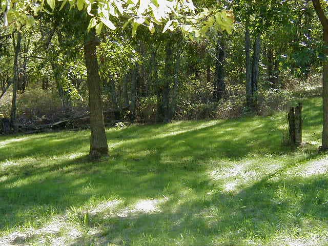 Camper-submitted photo at Fangthorn Forest Campground near Garden City, MO