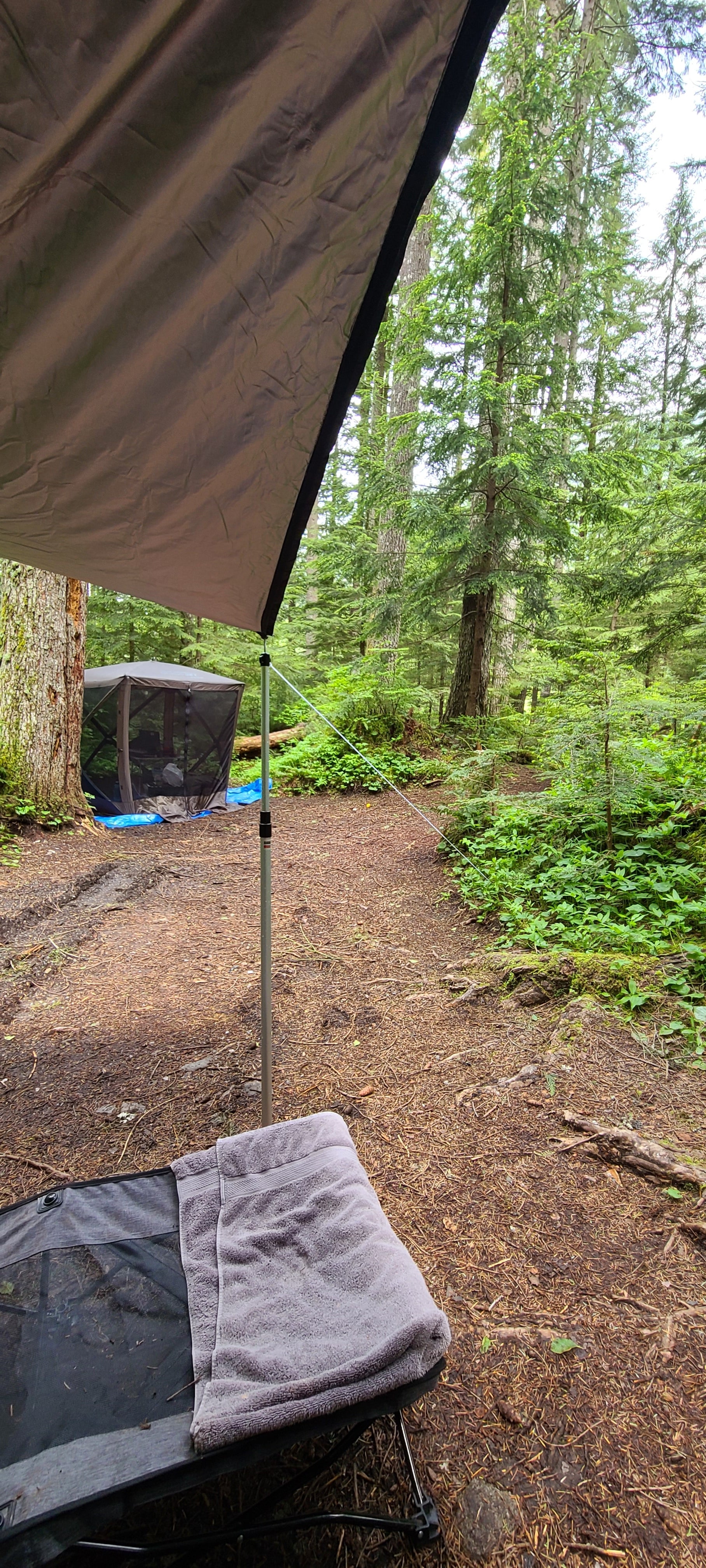 Camper submitted image from South Fork Snoqualmie River Dispersed Site - 3