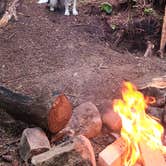 Review photo of South Fork Snoqualmie River Dispersed Site by Mario E., June 8, 2022