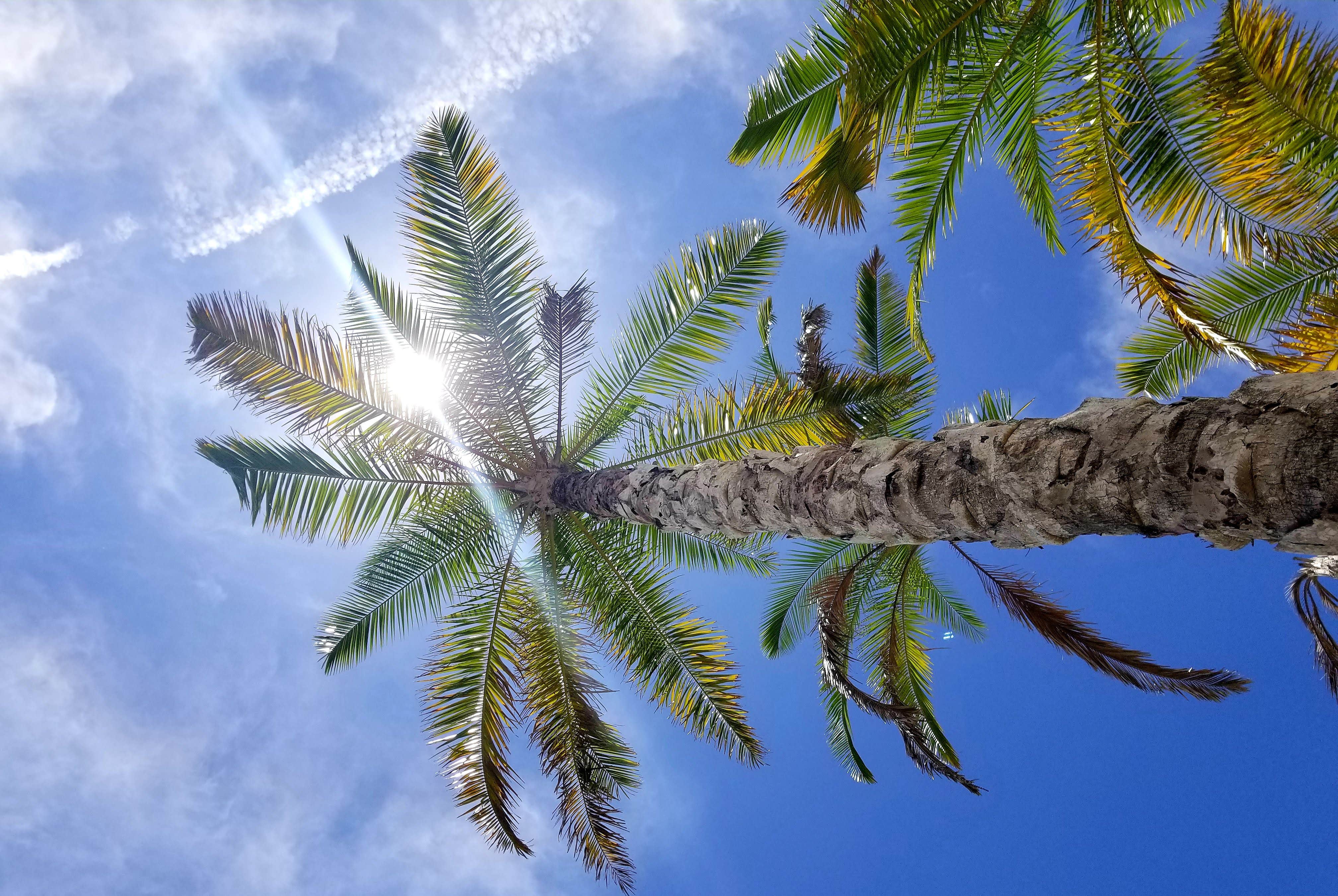 Camper-submitted photo at Bradenton / Hunsader Farms KOA near Bradenton, FL