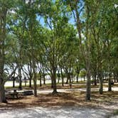 Review photo of Bradenton / Hunsader Farms KOA by Jan S., June 8, 2022