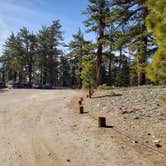 Review photo of Campo Alto Campground by Michael B., June 8, 2022