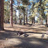 Review photo of Campo Alto Campground by Michael B., June 8, 2022