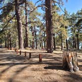 Review photo of Campo Alto Campground by Michael B., June 8, 2022