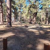 Review photo of Campo Alto Campground by Michael B., June 8, 2022