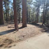 Review photo of Campo Alto Campground by Michael B., June 8, 2022