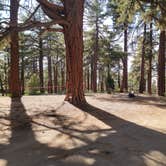 Review photo of Campo Alto Campground by Michael B., June 8, 2022