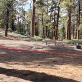 Review photo of Campo Alto Campground by Michael B., June 8, 2022