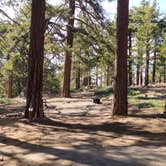 Review photo of Campo Alto Campground by Michael B., June 8, 2022