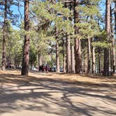 Review photo of Campo Alto Campground by Michael B., June 8, 2022