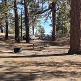 Review photo of Campo Alto Campground by Michael B., June 8, 2022
