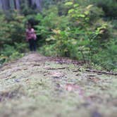 Review photo of Elk Prairie Campground — Prairie Creek Redwoods State Park by Ally S., July 26, 2016