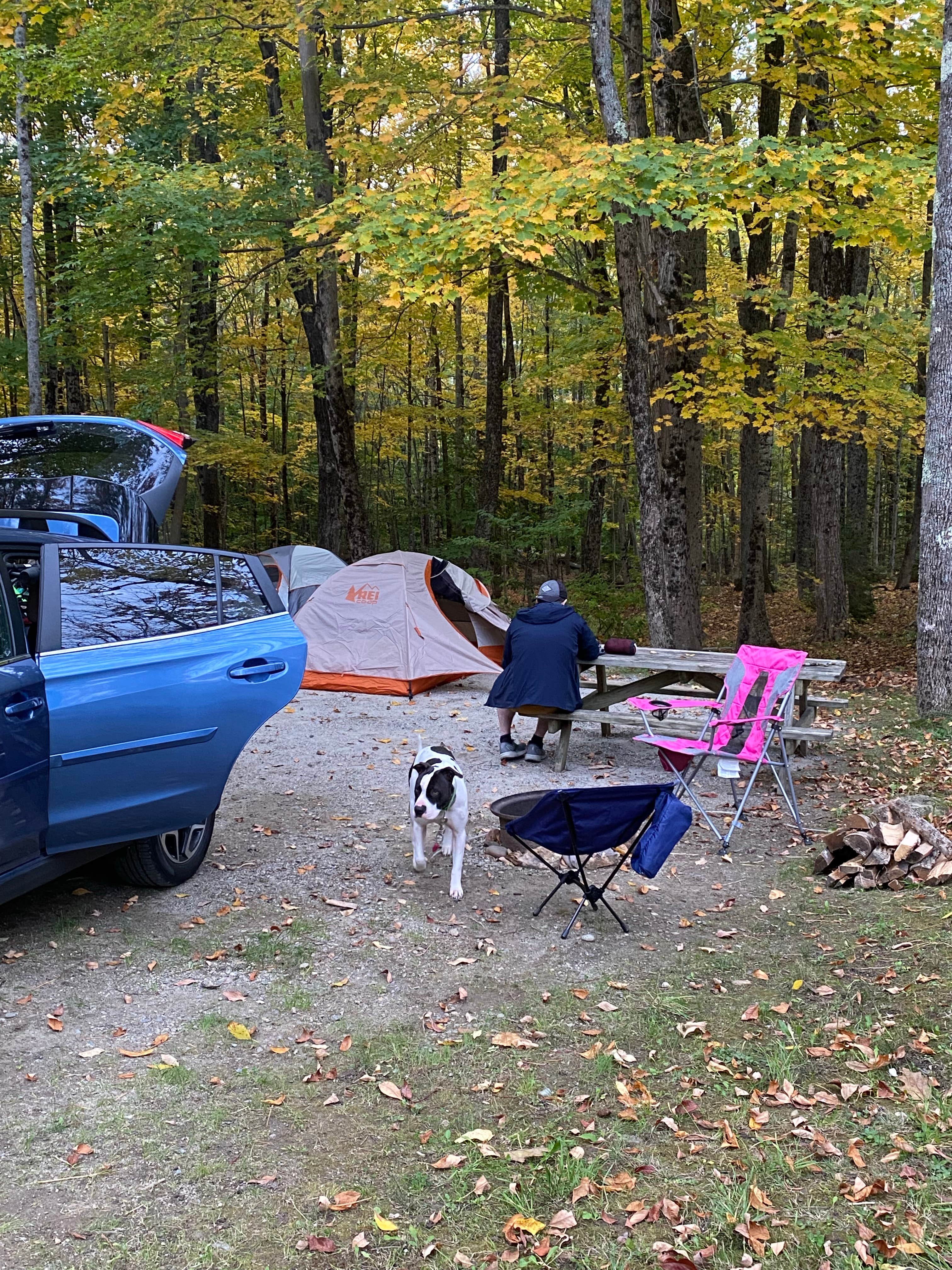 Camper-submitted photo at Augusta / Gardiner KOA near Alna, ME