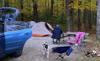 Rachel P.'s photo at Augusta / Gardiner KOA near Kents Hill, ME