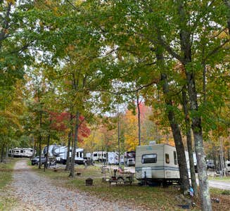 Camper-submitted photo from Camden Hills State Park Campground